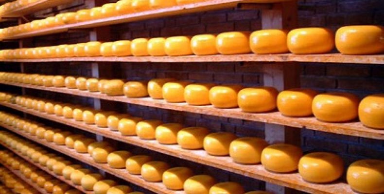 Европа и Беларусь обеспечат основной рост поставок сыров